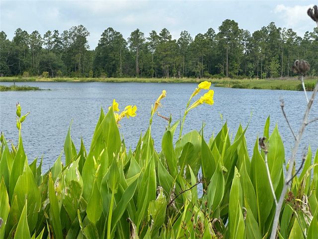 6541 CYRILS DRIVE, St Cloud, FL 34771
