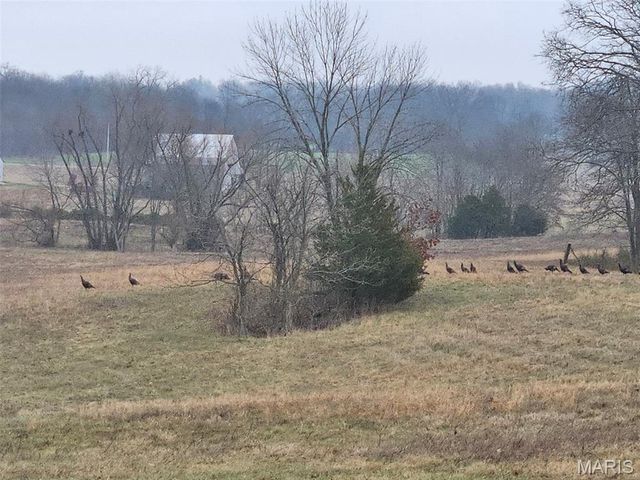 97 PCR 522, Perryville, MO 63775