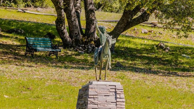22401 Volcano Hills Rd, Pioneer, CA 95666