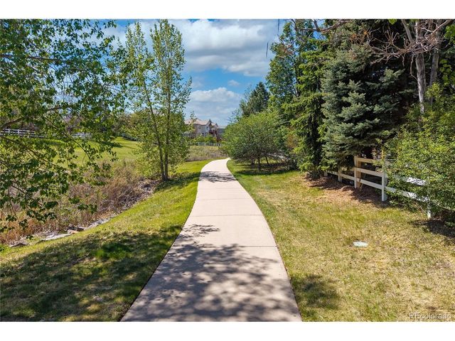 10032 Astoria Ct, Lone Tree, CO 80124