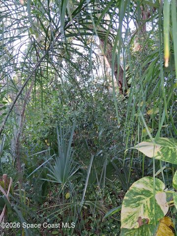 4824 Curtis Boulevard, Cocoa, FL 32927