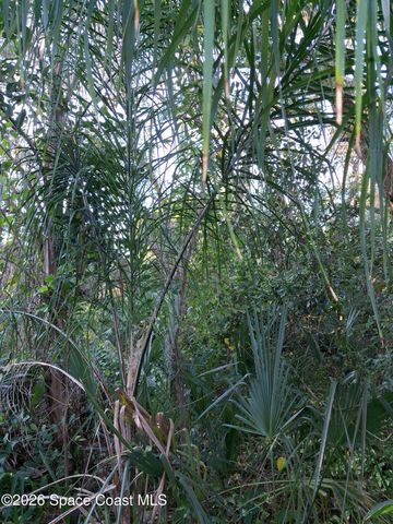 4824 Curtis Boulevard, Cocoa, FL 32927