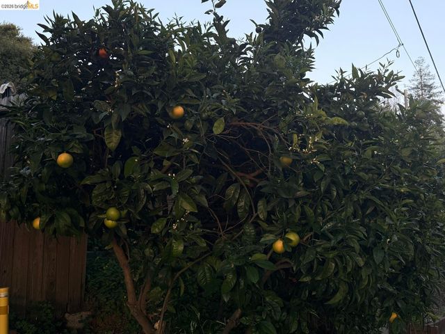 4432 Harbor View AVE, Oakland, CA 94619