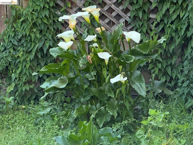 4432 Harbor View AVE, Oakland, CA 94619