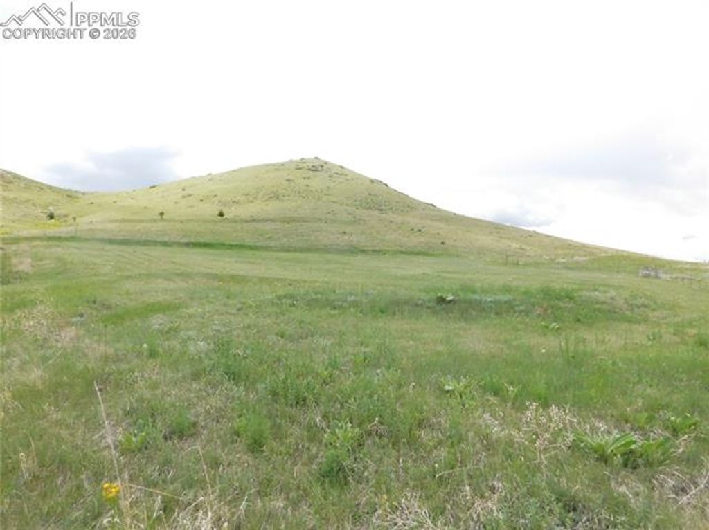 11972 Haskel Creek Road, Larkspur, CO 80118 — photo 2