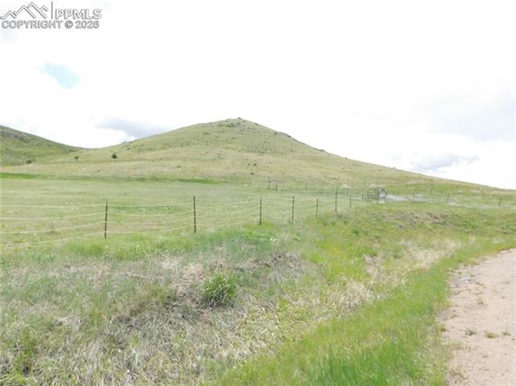 11972 Haskel Creek Road, Larkspur, CO 80118 — photo 4