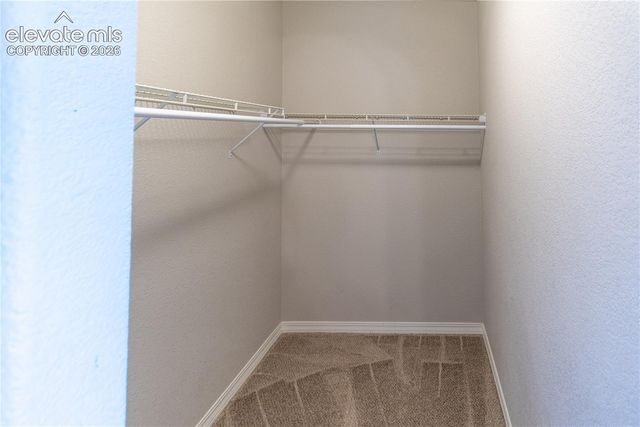 921 Grissom Drive, Colorado Springs, CO 80915