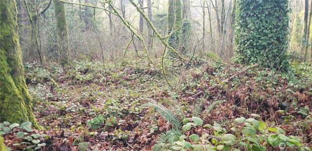 26 XX SW 308th Street, Federal Way, WA 98023