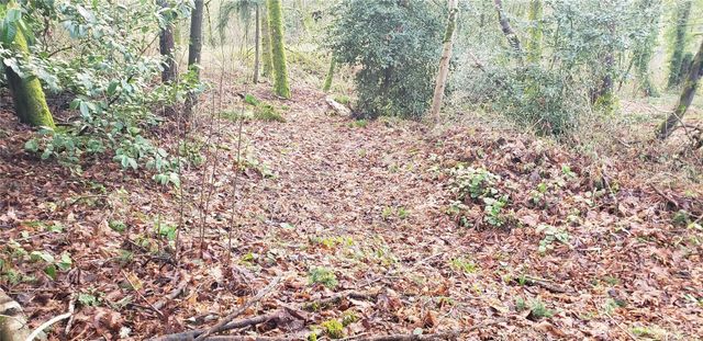 26 XX SW 308th Street, Federal Way, WA 98023