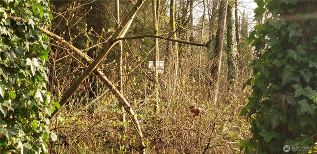 26 XX SW 308th Street, Federal Way, WA 98023