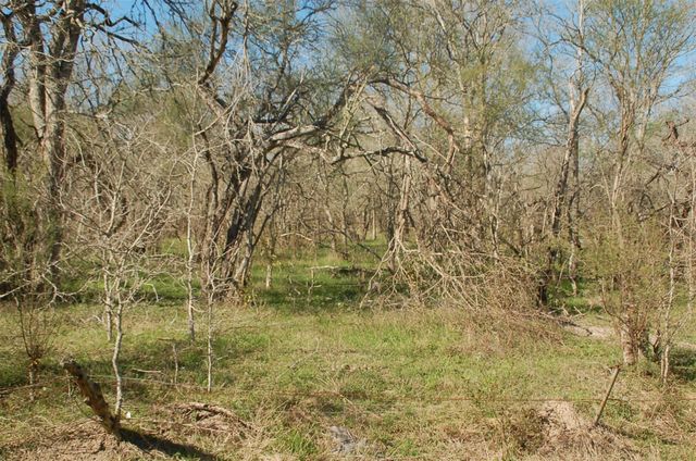 TBD Columbus Road, Wallis, TX 77485