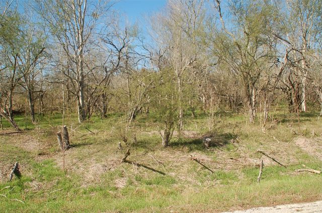 TBD Columbus Road, Wallis, TX 77485