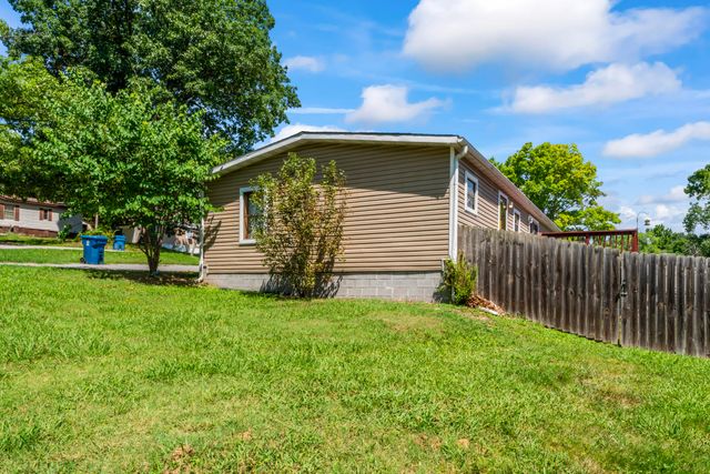 528 Darla Drive, Branson, MO 65616