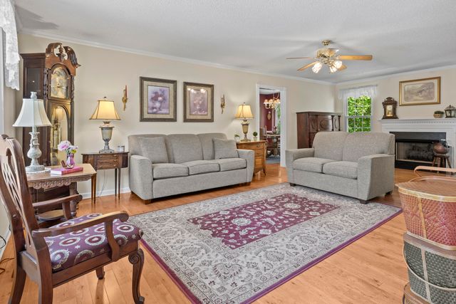 477 Middle View Drive, Ringgold, GA 30736