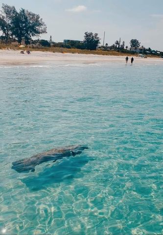 316 HAMMOCK CIRCLE, Anna Maria, FL 34216