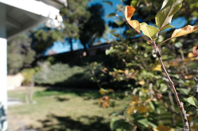 4835 Glenhaven Dr, Oceanside, CA 92056