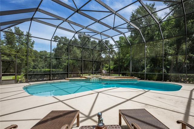 3413 LILAS COURT, Windermere, FL 34786