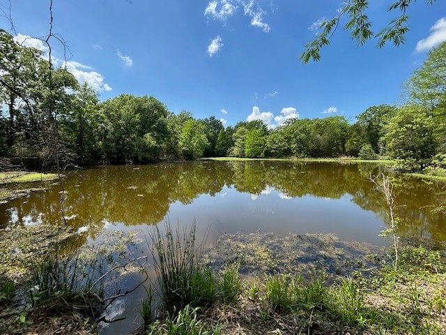 6431 Payne Springs Place, Mabank, TX 75156