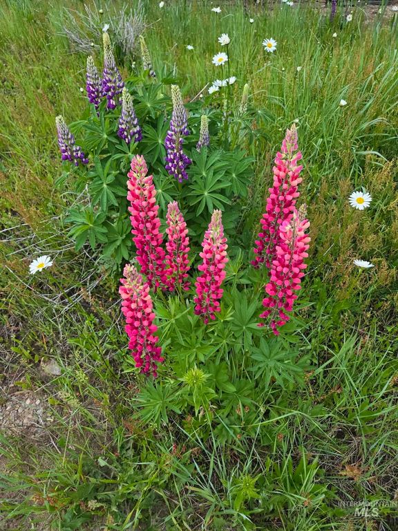 34 & 36 Kevins Way, Garden Valley, ID 83622 photo 37