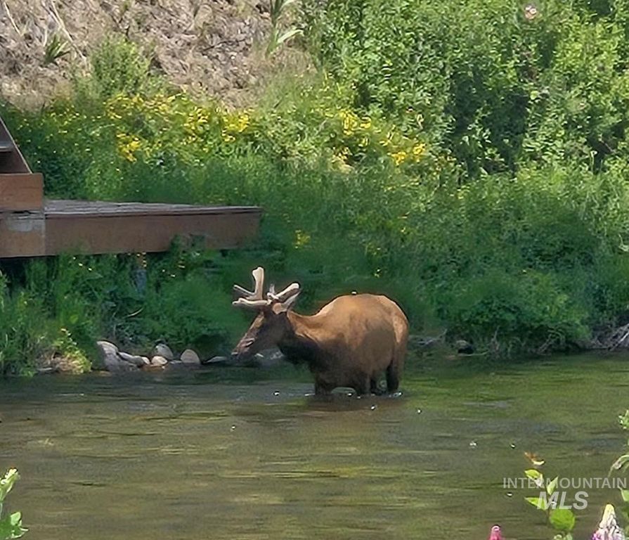 34 & 36 Kevins Way, Garden Valley, ID 83622 photo 39