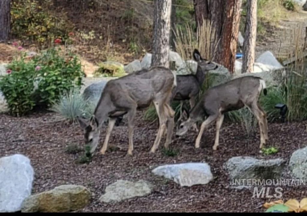 34 & 36 Kevins Way, Garden Valley, ID 83622 photo 40