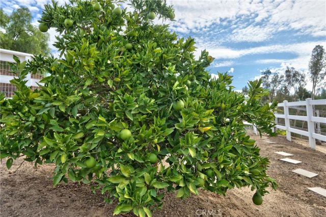 30041 Los Nogales, Temecula, CA 92591