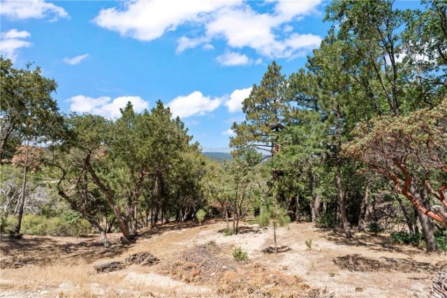 161 N Trails End Road, Green Valley Lake, CA 92341