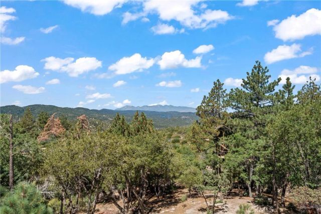 161 N Trails End Road, Green Valley Lake, CA 92341