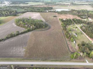 0 Oak Tree Road (31.62 AC), Metter, GA 30439