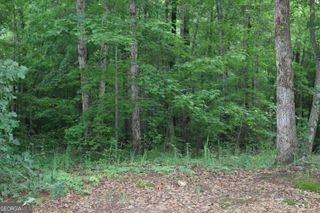0 Kingston Road, Colbert, GA 30628