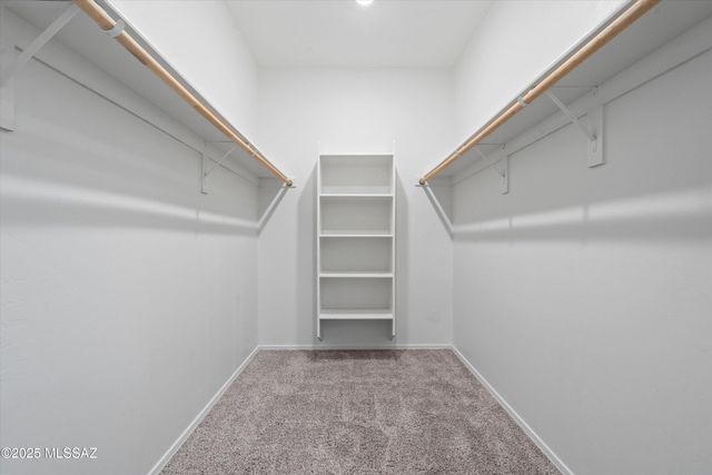 1016 W Calle Nicoya, Sahuarita, AZ 85629