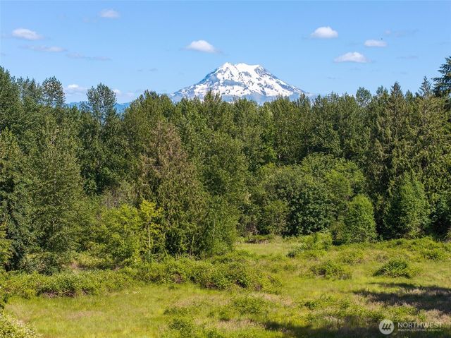 10410 260th Street E, Graham, WA 98338