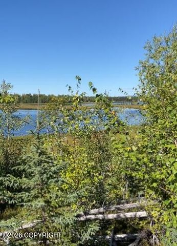 5280 S Horseshoe Lake Road, Big Lake, AK 99652