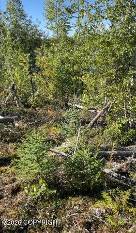 5280 S Horseshoe Lake Road, Big Lake, AK 99652