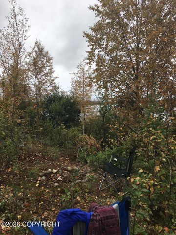 5280 S Horseshoe Lake Road, Big Lake, AK 99652