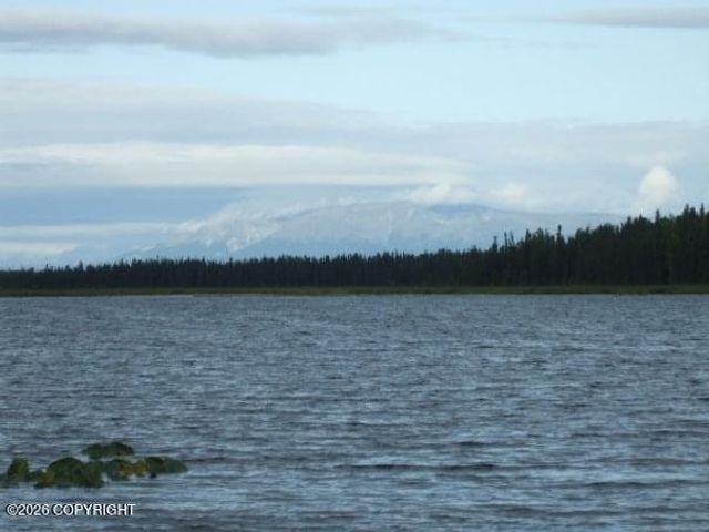 5280 S Horseshoe Lake Road, Big Lake, AK 99652