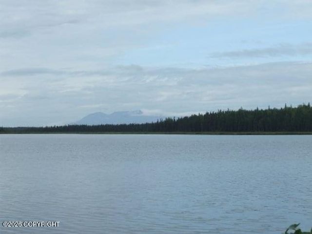 5280 S Horseshoe Lake Road, Big Lake, AK 99652