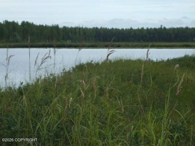 5280 S Horseshoe Lake Road, Big Lake, AK 99652