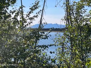 5280 S Horseshoe Lake Road, Big Lake, AK 99652