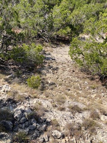 1970 Martin RD, Dripping Springs, TX 78620