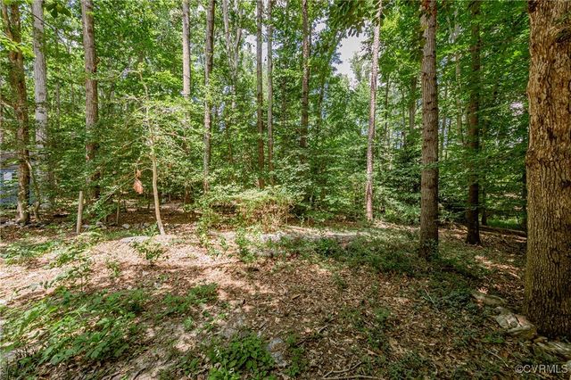 16200 Hunters Ridge Ln, Moseley, VA 23120