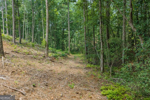 LOT 63 Lacey Springs Lane, Ellijay, GA 30540