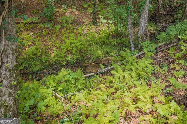 LOT 63 Lacey Springs Lane, Ellijay, GA 30540