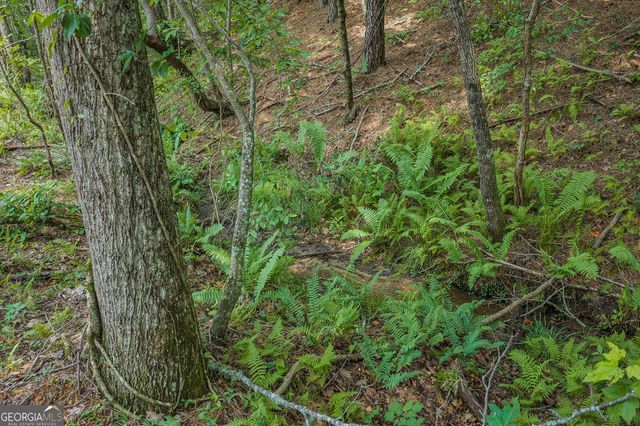 LOT 63 Lacey Springs Lane, Ellijay, GA 30540