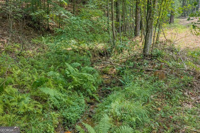 LOT 63 Lacey Springs Lane, Ellijay, GA 30540