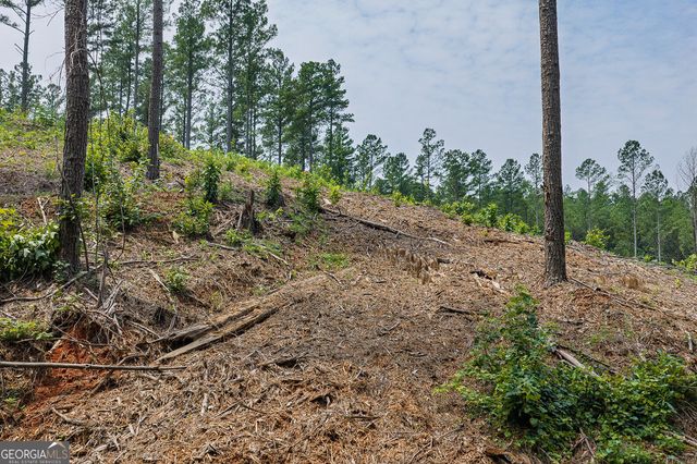 LOT 63 Lacey Springs Lane, Ellijay, GA 30540