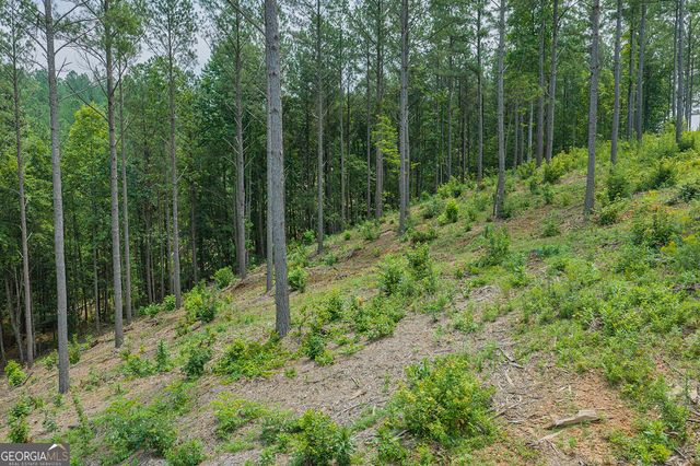 LOT 63 Lacey Springs Lane, Ellijay, GA 30540