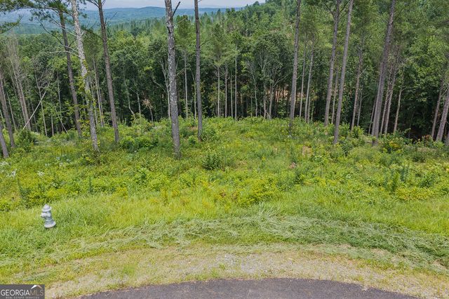 LOT 63 Lacey Springs Lane, Ellijay, GA 30540