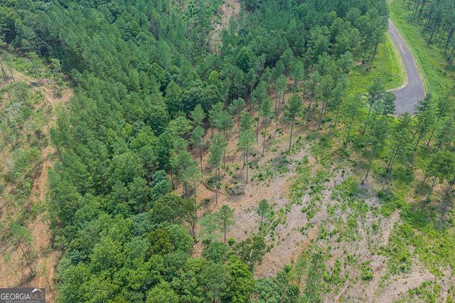 LOT 63 Lacey Springs Lane, Ellijay, GA 30540