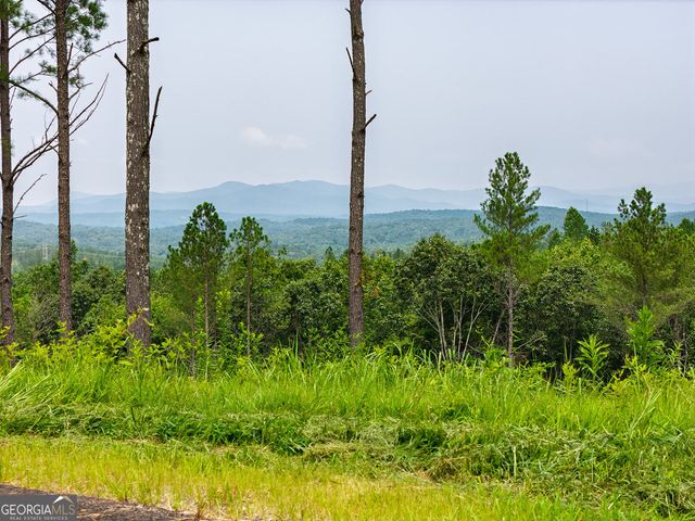 LOT 63 Lacey Springs Lane, Ellijay, GA 30540